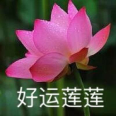 博主：河南队已初步决定解除李玮锋职务；计划聘用前国脚杨晨顶替